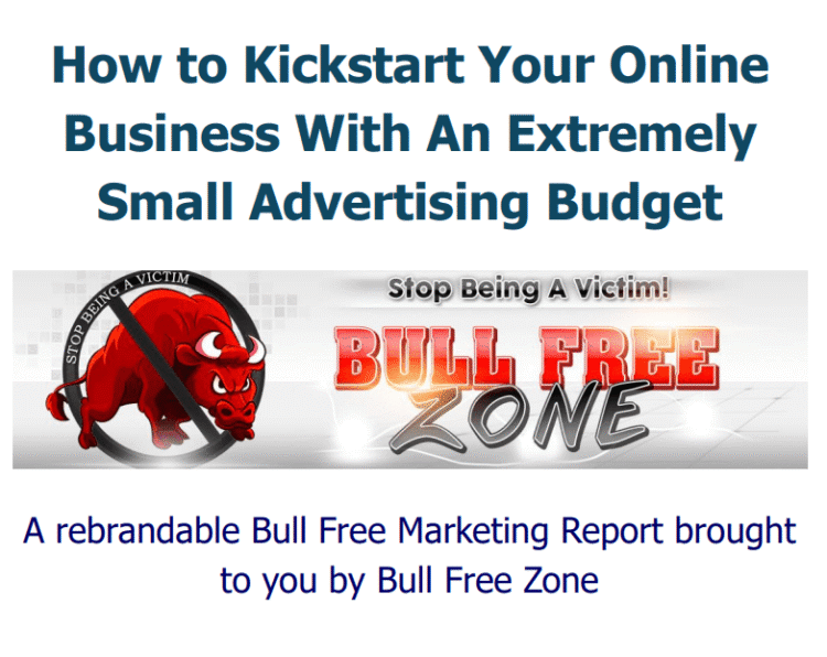 Review: How to Kickstart Your Online Business With an Extremely Small Advertising Budget